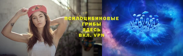мдпв Беломорск