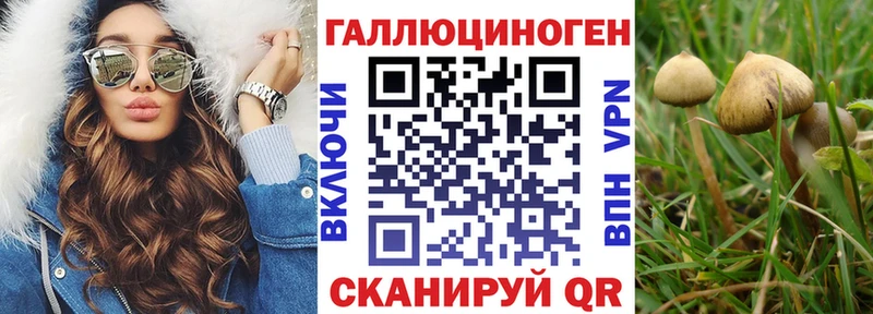 Галлюциногенные грибы Psilocybe мега как войти Саяногорск